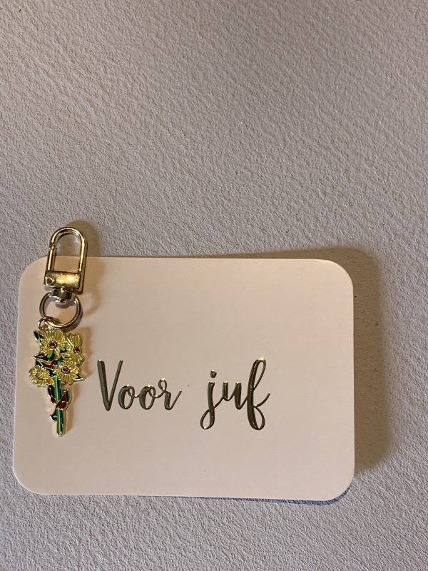 Juf meester cadeautje - Afbeelding 15
