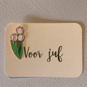 Juf en meester cadeautje
